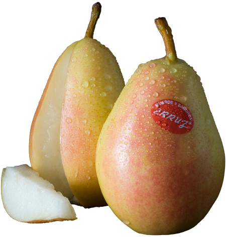 Recorte pera ercolini